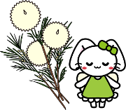 eB[c[
