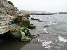 �Z�H�����C