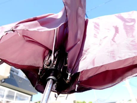 53cm܂肽ݎPn