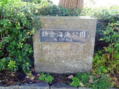 qClmn