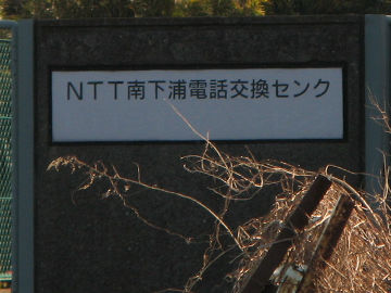 NTT쉺YdbZ^