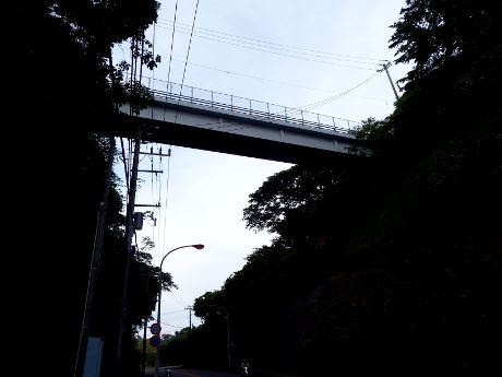 藤