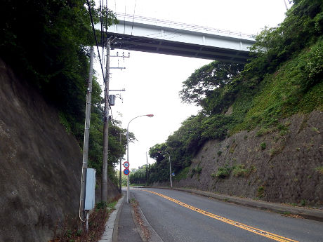 藤