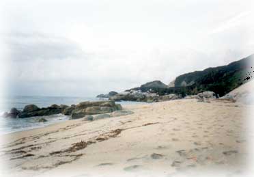 Ȃl