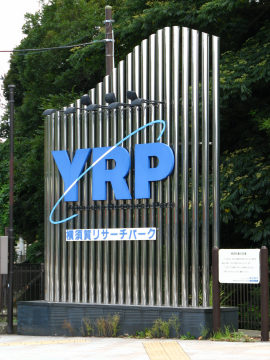 YRP