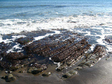 野比海岸